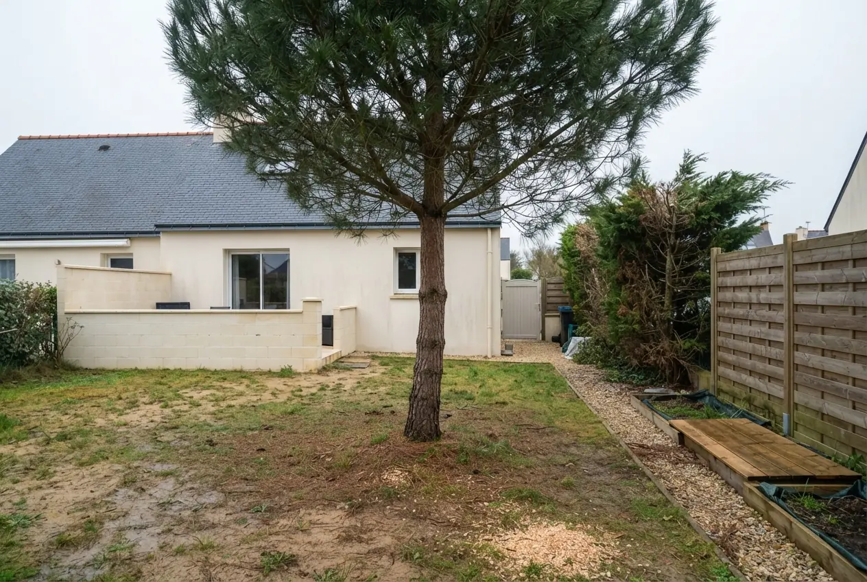 Arbre penché avant abattage contrôlé à Larmor-Plage
